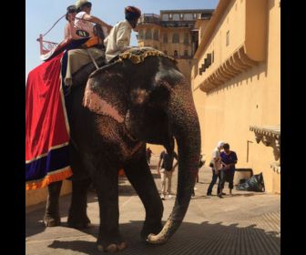 Royal Rajasthan Painting Private guided Group tour 13 nights / 14 days